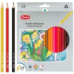Kredki szkolne TRÓJKĄTNE drewniane 2-stronne 18cm - 24 kolorowe mix TO-542 Toma Toma