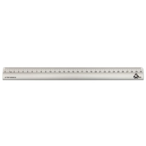 Linijka aluminiowa 30cm TOP2000 400073364 Top 2000 Linijka aluminiowa 30cm TOP2000 400073364 Top 2000