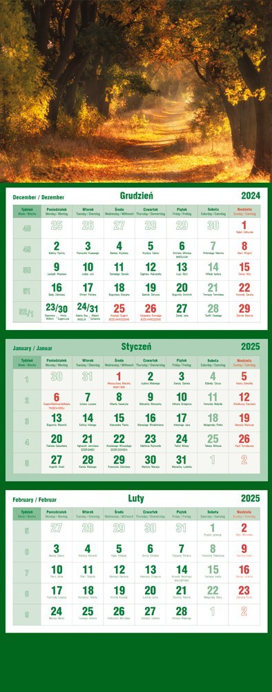 Kalendarz trójdzielny 2025 Las Michalczyk i Prokop T-105T-03 Michalczyk i Prokop