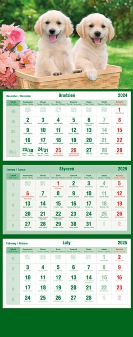 Kalendarz trójdzielny 2025 Psy Michalczyk i Prokop T-105T-09 Michalczyk i Prokop