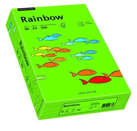 Papier xero kolorowy RAINBOW ciemnozielony R78 88042673 Rainbow Papier xero kolorowy RAINBOW ciemnozielony R78 88042673 Rainbow