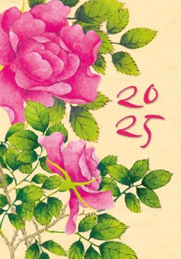 Terminarz Mikro 69x99mm 2025 Michalczyk i Prokop T-MIKRO-07 KALENDARZ Michalczyk i Prokop