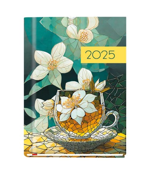 Terminarz OLA A6 2025 Michalczyk i Prokop T-212F-04 KALENDARZ tydzień na 2 stronach Michalczyk i Prokop