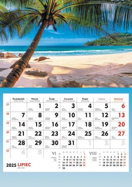 Terminarz Ścienny 2025 Michalczyk i Prokop T-107S-1 kalendarz jednodzielny Michalczyk i Prokop