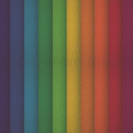 Bibuła marszczona Creatinio 50x200 mix tęczowy komplet 10 sztuk 400153931 TOP-2000 Top 2000