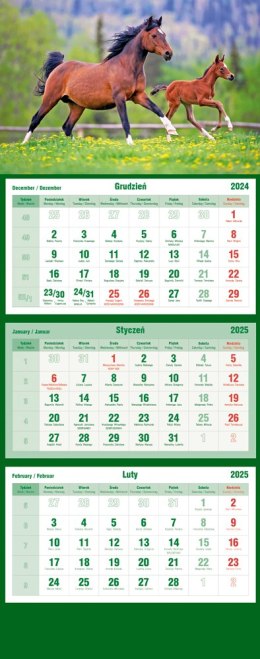 Kalendarz trójdzielny 2025 Konie Michalczyk i Prokop T-105T-11 Michalczyk i Prokop