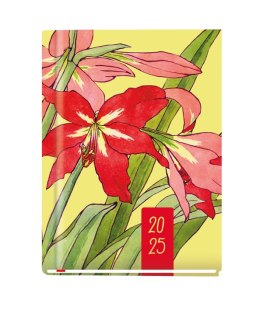 Terminarz MARTA B6 2025 Michalczyk i Prokop T-215F-03 120x165mm kalendarz 1 tydzień na 2 stronach Michalczyk i Prokop