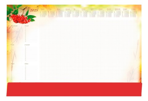 Terminarz-Planer B3 z listwą 2025 Jarzębina Michalczyk i Prokop T-2-B3-6 kalendarz Michalczyk i Prokop