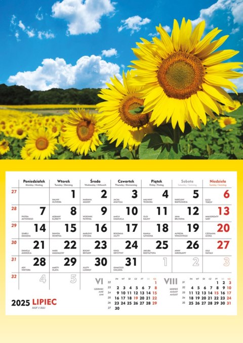 Terminarz Ścienny 2025 Michalczyk i Prokop T-107S-5 kalendarz jednodzielny Michalczyk i Prokop