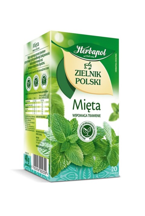 Herbata HERBAPOL ZIELNIK POLSKI Mięta (20 torebek) Herbapol Herbata HERBAPOL ZIELNIK POLSKI Mięta (20 torebek) Herbapol