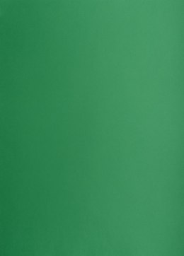 Karton kolorowy Creatinio B2 225g 25ark nr.63M c.zielony 400150339 TOP-2000 Top 2000