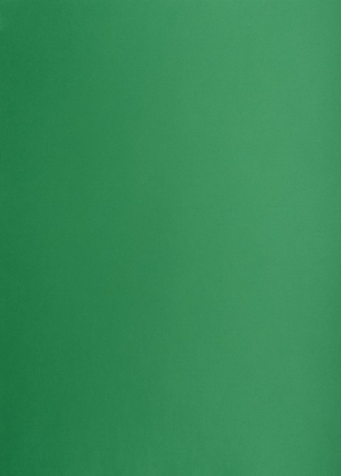 Karton kolorowy Creatinio B2 225g 25ark nr.63M c.zielony 400150339 TOP-2000 Top 2000