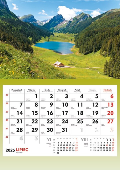 Terminarz Ścienny 2025 Michalczyk i Prokop T-107S-4 kalendarz jednodzielny Michalczyk i Prokop