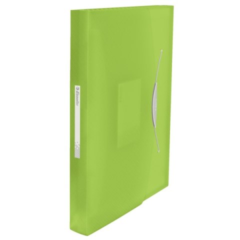 Teczka z przegródkami ESSELTE VIVIDA zielona 624019 Esselte Teczka z przegródkami ESSELTE VIVIDA zielona 624019 Esselte