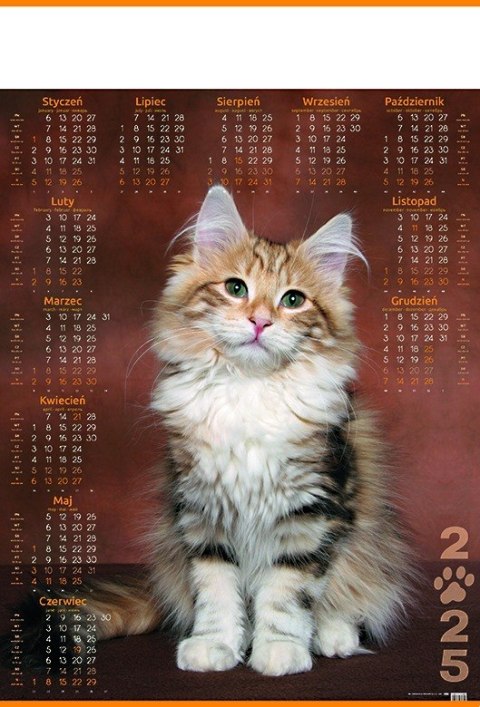 Kalendarz Plakatowy B-1, P18 - KOT 2025 TELEGRAPH Telegraph