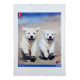 Antyrama szkło B2 50x70 MAN050070-47 Memobe