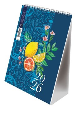 Kalendarz ze spiralką A5 - pionowy 2026 Michalczyk i Prokop T-101-3-16 Michalczyk i Prokop
