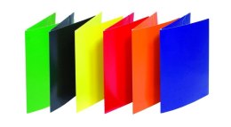 Teczka z gum.2056001-PL11 żółt DONAU Donau