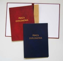 Okładka praca dyplomow.339-005 WARTA Warta