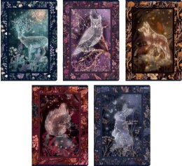 Zeszyt Top Fairytale A5 60 kartek 70 g kratka z marginesem Top 2000 400182429 Top 2000