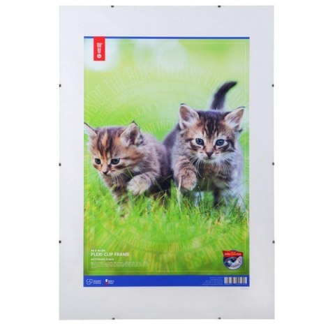 Antyrama plexi 400x600mmm ANP40x60 MEMOBOARDS Memobe