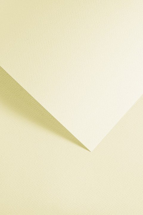 Karton ozdobny Sawanna kremowy 20 szt./op. 200 g/m2 Galeria Papieru