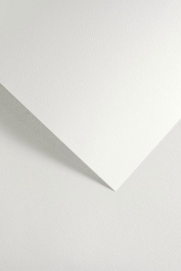 Karton ozdobny SAWANNA biały (20) 200g/m2 204801 ARGO Galeria Papieru