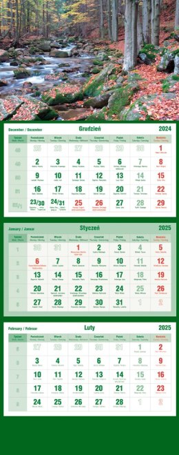 Kalendarz trójdzielny 2025 Strumień Michalczyk i Prokop T-105T-08 Michalczyk i Prokop
