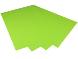 Karton kolorowy Creatinio A1 160g 25ark nr.68W jasnozielony 400149559 TOP-2000 Top 2000