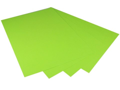 Karton kolorowy Creatinio A1 160g 25ark nr.68W jasnozielony 400149559 TOP-2000 Top 2000