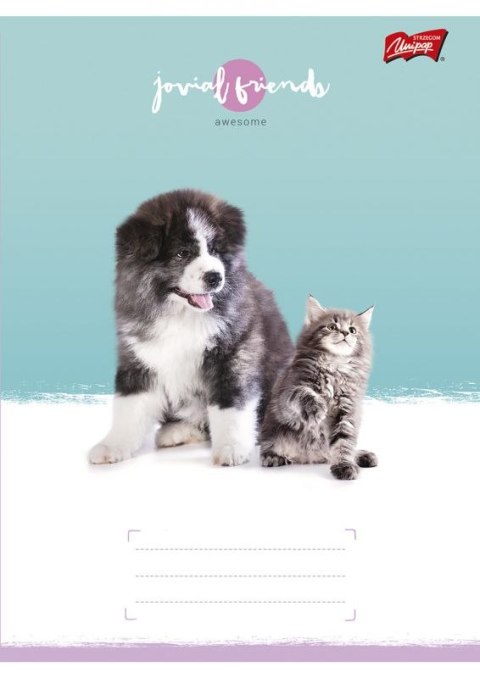 Zeszyt A5 32k linia dwukolo.L mix dziewczęcy laminowany UNIPAP *6991 St.Majewski