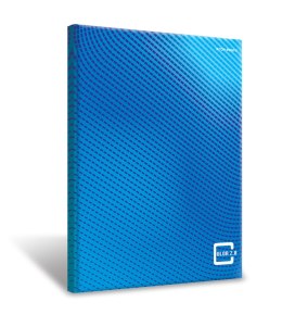 Brulion A5 96 kartek, COLOR 2.0 kratka z marginesem TOP 2000 400133375 Top 2000