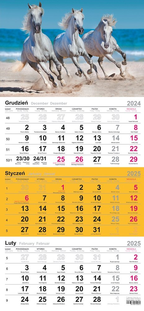 Kalendarz trójdzielny(H)2025 Michalczyk i Prokop T-106T-04 Michalczyk i Prokop