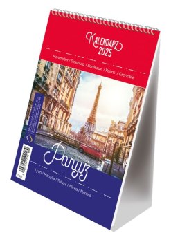 Kalendarz ze spiralką - pionowy B6 Michalczyk i Prokop T-103-03 Michalczyk i Prokop