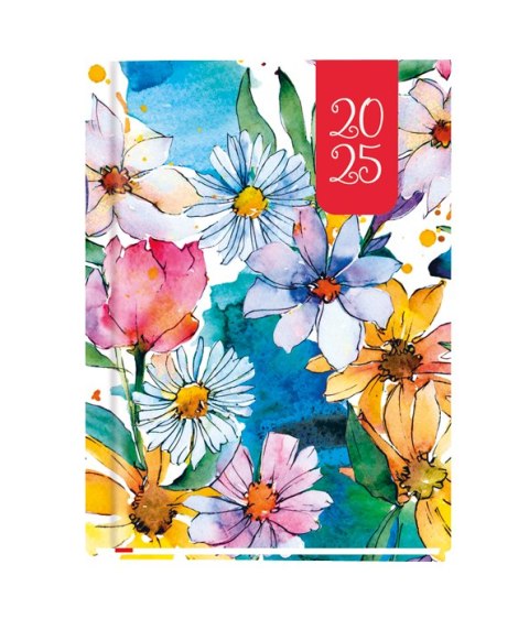 Terminarz OLA A6 2025 Michalczyk i Prokop T-212F-03 KALENDARZ tydzień na 2 stronach Michalczyk i Prokop