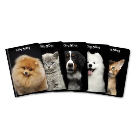 Brulion A4 96 kartek, KITTY & DOG kratka z marginesem TOP 2000 400136021 Top 2000