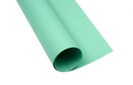 Karton kolorowy Creatinio A2 160g 25ark nr.64 seledynowy 400150190 TOP-2000 Top 2000