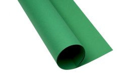 Karton kolorowy Creatinio B2 225g 25ark nr.69 groszkowy 400150336 TOP-2000 Top 2000