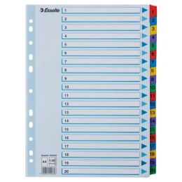 Przekładki kartonowe MYLAR A4 1-20 100163 białe ESSELTE Esselte