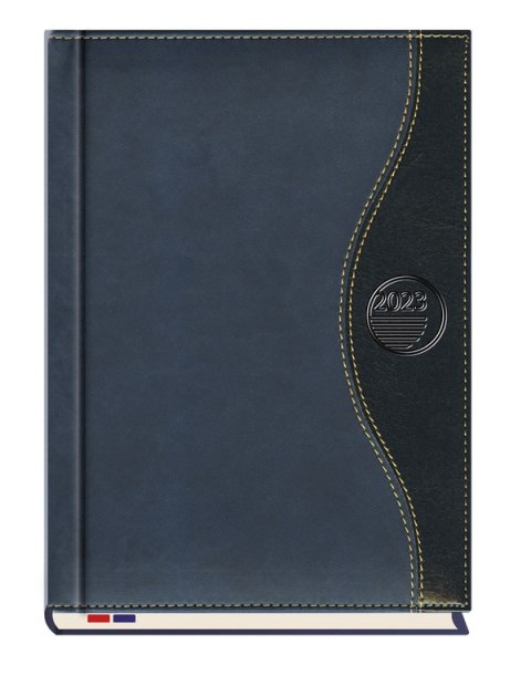 Kalendarz Asesor 2023 B5 tydzień na 2 stronach T-249K-05 Michalczyk i Pr Michalczyk i Prokop