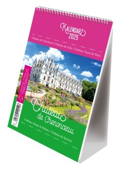 Kalendarz ze spiralką - pionowy B6 Michalczyk i Prokop T-103-04 Michalczyk i Prokop