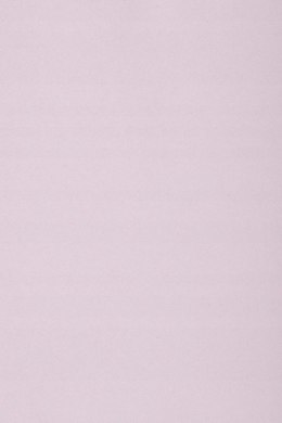 Karton kolorowy Creatinio A1 160g 25ark nr.85 liliowy 400149562 TOP-2000 Top 2000