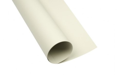 Karton kolorowy Creatinio B1 225g 25ark nr.93 jasnoszary 400150253 TOP-2000 Top 2000