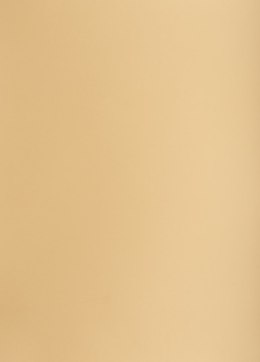 Karton kolorowy Creatinio B2 225g 25ark nr.16 jasnobrązowy 400150327 TOP-2000 Top 2000