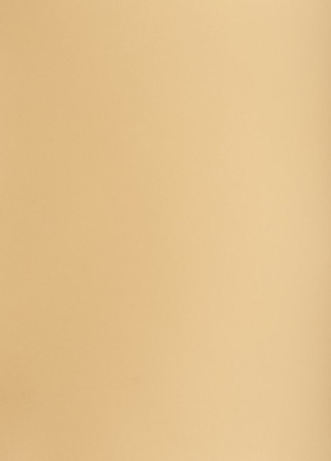 Karton kolorowy Creatinio B2 225g 25ark nr.16 jasnobrązowy 400150327 TOP-2000 Top 2000