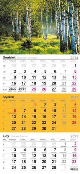 Kalendarz trójdzielny(H)2025 Michalczyk i Prokop T-106T-02 Michalczyk i Prokop