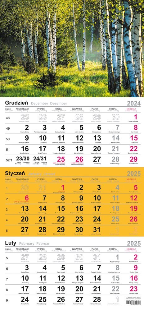 Kalendarz trójdzielny(H)2025 Michalczyk i Prokop T-106T-02 Michalczyk i Prokop