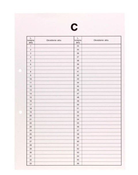 Przekładki do akt osobowych C BIURFOL TD-06 Biurfol