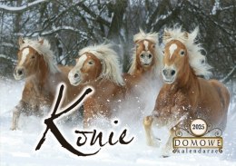 Terminarz Domowy 200x218mm 2025 - Konie Michalczyk i Prokop TW-10-6 KALENDARZ jednodzielny 200x285mm Michalczyk i Prokop