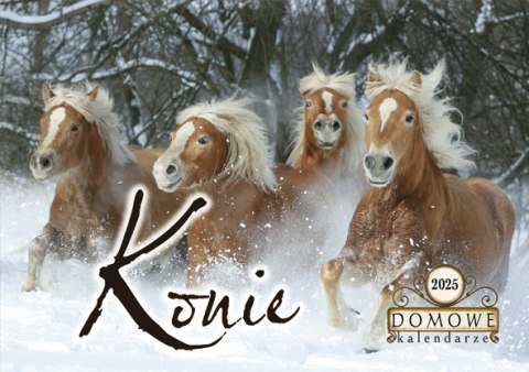Terminarz Domowy 200x218mm 2025 - Konie Michalczyk i Prokop TW-10-6 KALENDARZ jednodzielny 200x285mm Michalczyk i Prokop